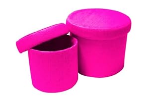Style Worx Runde Aufbewahrungsbox mit Deckel, Papiergewebe, 2 Stück, Pink