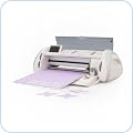 Die-Cutting