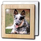 Dogs Australian Cattle - Australian Cattle Dog - Tile Napkin Holders