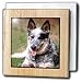Dogs Australian Cattle - Australian Cattle Dog - Tile Napkin Holders