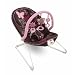 Fisher-Price Bouncer, Mocha Butterfly