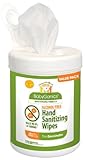 BabyGanics Alcohol Free Hand Sanitizing Wipes, Light Citrus Scent, 175 Wipe Canister