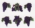 GRAPE 3-Dimensional Magnet Set of 6 Magnets *NEW!*