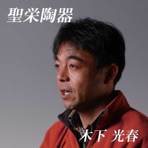 波佐見焼 太唐草 イケメン丼 聖栄陶器 木下光春 n_ama-66523