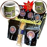 Dogs Australian Cattle - Australian Cattle Dog - Coffee Gift Baskets - Coffee Gift Basket