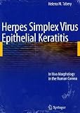 Herpes Simplex Virus Epithelial Keratitis: In Vivo Morphology in the Human Cornea