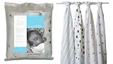Aden + Anais Aqua / Brown Muslin Swaddling Blankets - 4 Pack