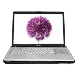 Product details for Toshiba Satellite P205-S6307 17