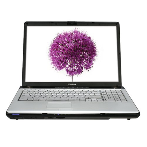 PCHardware: Toshiba Satellite P205 S6307 17