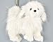   - Fuzzy Nation Maltese