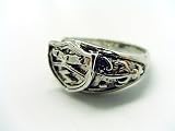 Katekyo Hitman Reborn Cosplay Costume Accessories - Vongola Metal Ring of Storm V2