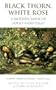 Black Thorn White Rose: A Modern Book of Adult Fairy-Tales