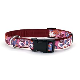 Funky FloralCanvas Dog Collar, 5/8 Wide, Adjustable 12-inch - 18
