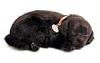 Perfect Petzzz Huggable Black Lab Puppy