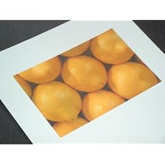 100 Seiten Blatt Fotopapier Photopapier Foto Photo Papier DIN A4 240g/m2 gl�nzend