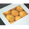 100 Seiten Blatt Fotopapier Photopapier Foto Photo Papier 10x15cm 10cm 15 cm 240g/m2 gl�nzend