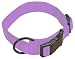 Hamilton 3/4" Adjustable Dog Collar, adjusts from 16-22 inches, Lavender