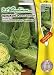 Spitzkohl Duchy F1 (Portion inkl. Stecketikett)