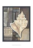 Abalone II by Chariklia Zarris Framed with Black Decor Wood Frame 1.25 inch width, 3/4 inch depth