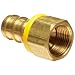 Anderson Metals Brass Push-On Hose Fitting, Connector, Barb x NPT Female