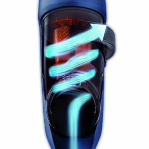 Budget  Rowenta Air Force Extreme