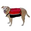 Kyjen Company Oh Dog Backpack Large