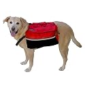 Quick Release Backpack - Large