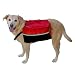 Outward Hound Quick Release Back Pack - Large - Assorted Colors
