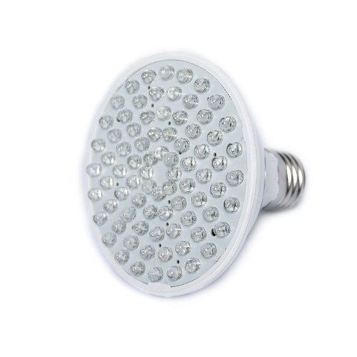 RubyLux Red & Blue Bulb Size Medium
