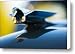 1947 Cadillac Hood Ornament Canvas Print / Canvas Art - Artist Jill Reger 1947 Cadillac Hood Ornament Canvas Print / Canvas Art - Artist Jill Reger