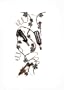 CBK Home Grapevine Handpainted Metal 6-Bottle Wall Wine Rack