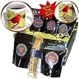 Birds - Red Cardinal - Coffee Gift Baskets - Coffee Gift Basket