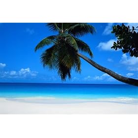 Seychelles Places Poster Print by Mark Karrass, 36x24