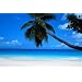 Seychelles Places Poster Print by Mark Karrass, 36x24