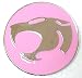 Search : Chrome / Pink Enamel Thundercats Logo Belt Buckle