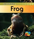 Life cycle of a-- frog