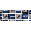 Detroit Lions NFL Fabric Shower Curtain (72"x72")