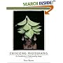 Criticizing Photographs: An Introduction to Understanding Images