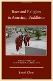 Race and Religion in American Buddhism: White Supremacy and Immigrant Adaptation (Aar Academy Ser)