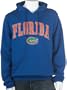 Soffe University of Florida Hoodie with Arch and Mascot