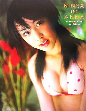 MINNA no ANNA����¼����ʼ̿���