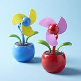 Two's Company Flower Power Flower Fan in Gift Box, Set of 2