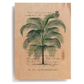 Toile 'Tropical Palms II' par Wild Apple Studio - Taille de l'image L 55 cm x H 76 cm