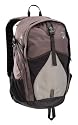 Coleman Exponent Lollygag X 30 Panel-Load Daypack,Gray