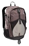 Coleman Exponent Lollygag X 30 Panel-Load Daypack,Gray