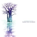 20 Years of the Best Sounds From The Ground