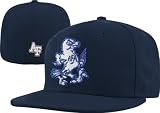 Air Force Falcons Mascot Fitted College Cap