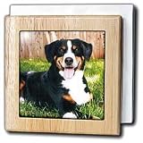 Review 3dRose LLC  / Appenzeller Mountain Dog - 6 Inch Tile Napkin Holder