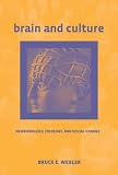 Brain and Culture: Neurobiology, Ideology, and Social Change (Bradford Books)