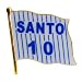 Chicago Cubs Ron Santo Flag Souvenir Pin
